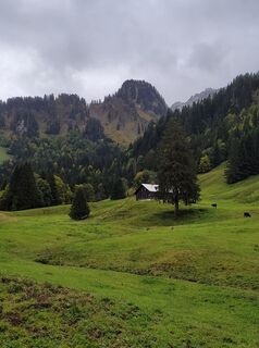 Foto de Sebby Laufer a lo largo del recorrido