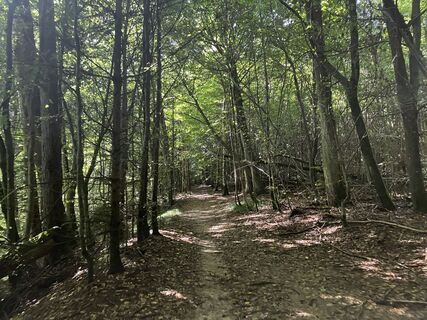 Foto von Martin Würsch entlang der Tour