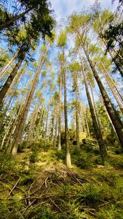 Zdjęcie z Manuela Barth wzdłuż trasy