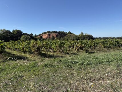 Fotografija s spletne strani Grizzli na poti
