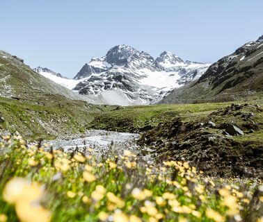 Ochsental mit dem Piz Buin
