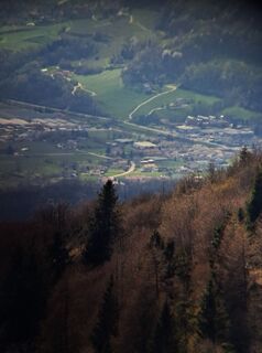 Fotografija s spletne strani JoesBurg na poti