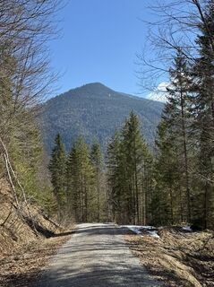 Photo de Denise Miller le long du parcours