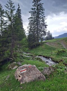 Foto de Greg+Lisa a lo largo del recorrido