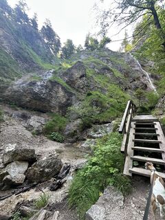 Photo de Babs Holz le long du parcours