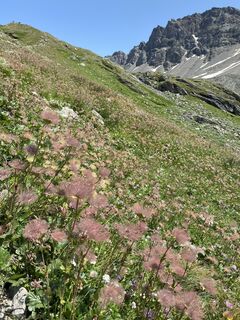 Foto von Melanie Hörzer entlang der Tour
