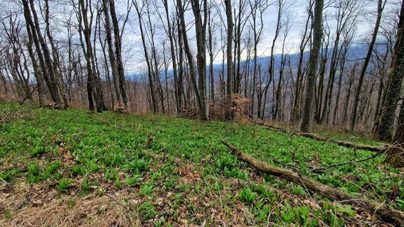Foto de EP87 a lo largo del recorrido