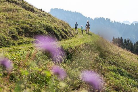 Wandern auf dem Sonderdach