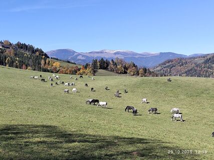 Fotografie de la Barbara Galle de-a lungul turului