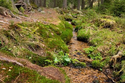 An der Elzquelle