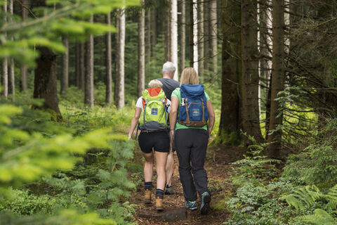 Wanderung im Wald