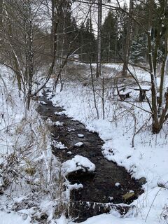 Fotografia z Arthur Muskalla na trase