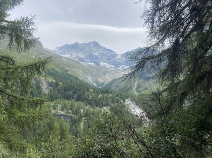 Photo de Tina Gehrig le long du parcours
