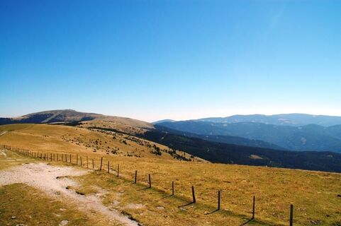 Blick auf die Alm am Stuhleck_Rettenegg_Oststeiermark