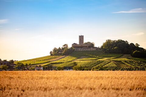 Burg Steinsberg