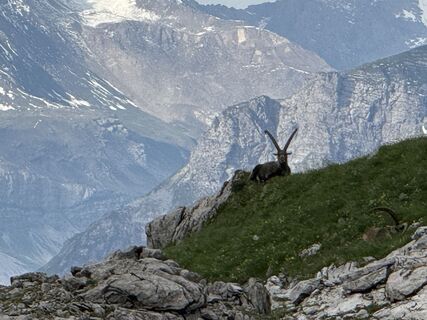Photo de Norbert Herbig le long du parcours