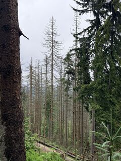 Foto von Artur Starosta entlang der Tour