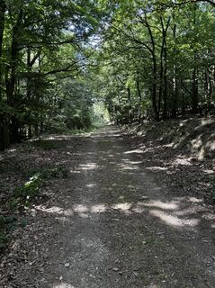 Fotografie z Jan Düber na trase