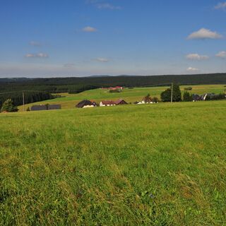 Blick Richtung Tannengrund