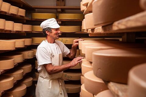 Sennarbeiten auf der Alpe