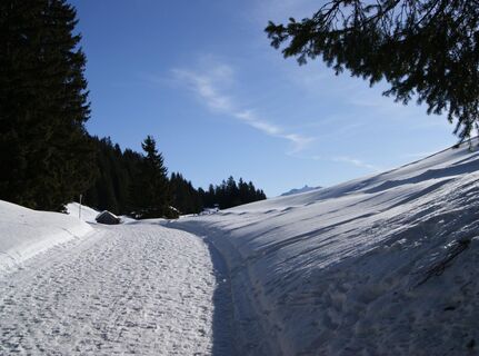 in der Nähe des Fritzensees