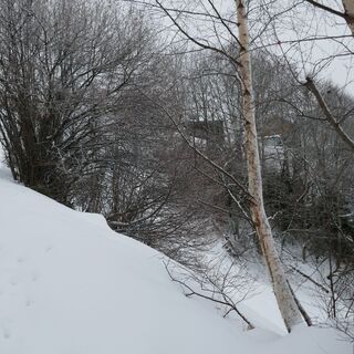Sand - Winterwanderung Guggisberg
