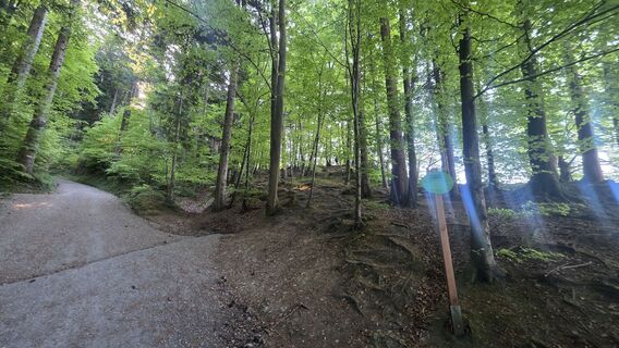 Fotografie z Atya1256 na trase