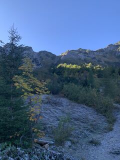 Foto da Wilhelm Böning lungo il tour