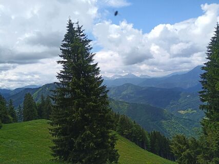 Fotografia z Wanderkatze na trase