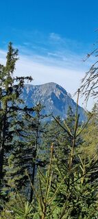 Fotografia z Mario Libardi na trase