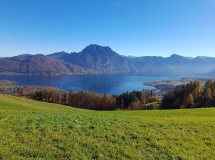 Foto fra Monika Binder underveis på turen