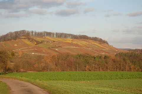Hamberg/Eichelberg Lienzingen