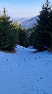 Foto von Ernst Brezina entlang der Tour