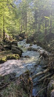 Fotografie z Office na trase