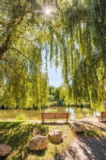 Aachufer in Singen