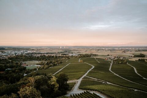 Leingarten Heuchelberger Warte Panorama 2