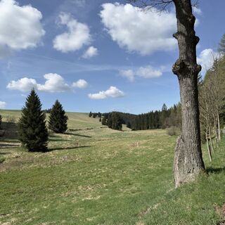 Fotografija s spletne strani Steffen Kiesel na poti