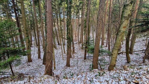 Foto von EP87 entlang der Tour