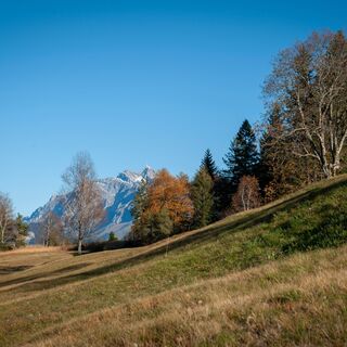 Blick zum Säntis von Ebnat-Kappel hinauf zur Wolzenalp