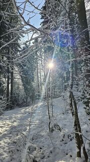 Foto von Marlyse Leu entlang der Tour