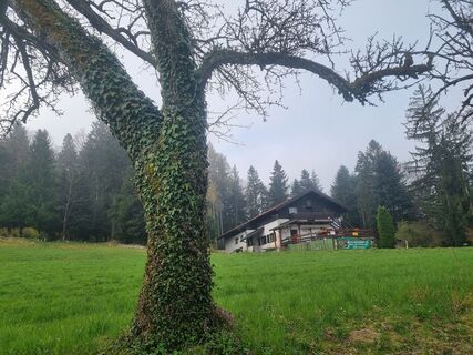 Fotografija s spletne strani Grizli na poti