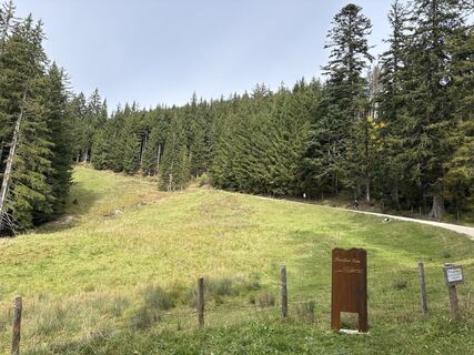 Photo de Heinz Sperl le long du parcours