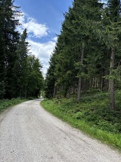 Foto von Heinz Sperl entlang der Tour