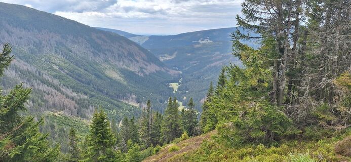 Fotografia z Hallunke Frank na trase