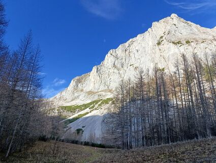 Foto von rotbaeder entlang der Tour