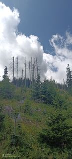 Fotografia z Bergpirat na trase