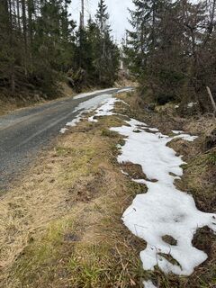 Foto de Ronald Bartel a lo largo del recorrido