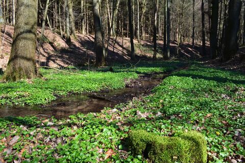 Entlang des Schierenweges
