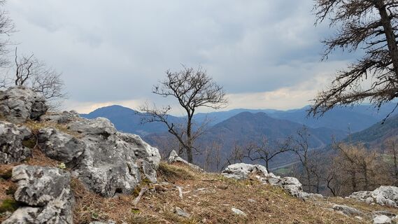 Foto von Juliane Jarke entlang der Tour