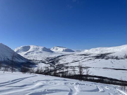Fotografija s spletne strani Hels Walker na poti
